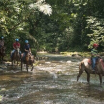 Horses Pozo Azul