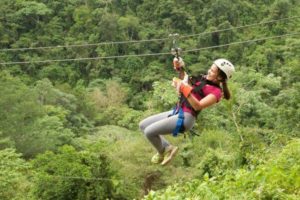 RFA Tranopy_Pacifico