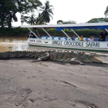 2. Cocodrilo - embarcación - Interviajes Costa Rica