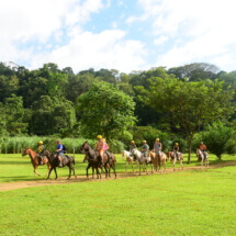 Horses Los Sueños - Interviajes Costa Rica 3