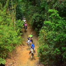 Horses Los Sueños - Interviajes Costa Rica 5