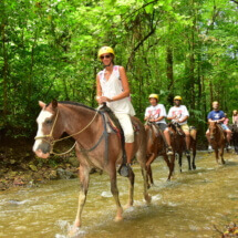 Horses Los Sueños - Interviajes Costa Rica 7