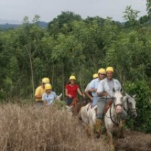 Pozo A. Caballos - Interviajes Costa Rica 1